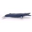 Blue whale PA56037 Papo 2