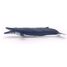 Blue whale PA56037 Papo 6