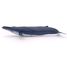 Blue whale PA56037 Papo 4
