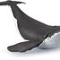 Whale calf figure PA56035 Papo 7