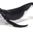 Whale calf figure PA56035 Papo 1