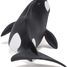 Killer whale calf figure PA56040 Papo 6