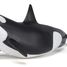 Killer whale calf figure PA56040 Papo 5