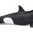 Killer whale calf figure PA56040 Papo 2