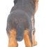Baby German Shepherd Figurine PA54039-5297 Papo 5