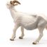 White horned goat figurine PA51144-2947 Papo 7