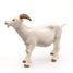 White horned goat figurine PA51144-2947 Papo 3