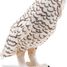 Snowy Owl PA50167-4759 Papo 3