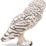 Snowy Owl PA50167-4759 Papo 2