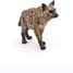 Hyena figure PA50252 Papo 4