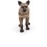 Hyena figure PA50252 Papo 3