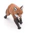 Fox figure 53020-3625 Papo 7