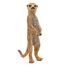 Standing Meerkat Figurine PA50206 Papo 6