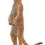 Standing Meerkat Figurine PA50206 Papo 5