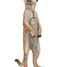 Standing Meerkat Figurine PA50206 Papo 6
