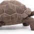 Galapagos tortoise figurine PA50161-3929 Papo 7