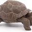 Galapagos tortoise figurine PA50161-3929 Papo 4