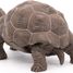 Galapagos tortoise figurine PA50161-3929 Papo 3