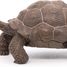 Galapagos tortoise figurine PA50161-3929 Papo 2