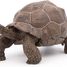 Galapagos tortoise figurine PA50161-3929 Papo 1