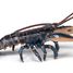 Lobster figure PA-56052 Papo 7