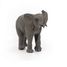 Young elephant figure PA50225 Papo 8