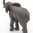 Young elephant figure PA50225 Papo 7
