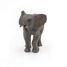 Young elephant figure PA50225 Papo 4