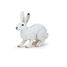 Artic hare figurine PA50226 Papo 1