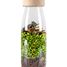 Jungle Spy Bottle PB47646 Petit Boum 1