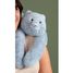Weighted Blue Cat Plush 50 cm HO3480 Histoire d'Ours 2