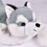 Weighted Husky Dog Plush 50 cm HO3408 Histoire d'Ours 2