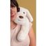 Weighted Dog Plush 50 cm HO3479 Histoire d'Ours 4