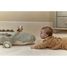 Activity Cuddle Crocodile LD8324 Little Dutch 11