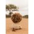 Cuddle Lion Safari Friends LD8359 Little Dutch 8