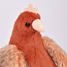 Plush My hen with golden eggs 28 cm HO3447 Histoire d'Ours 2