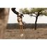 Cuddle Monkey XL Safari Friends LD8351 Little Dutch 10