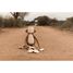 Cuddle Monkey XL Safari Friends LD8351 Little Dutch 12
