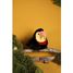 Toucan bird plush toy 15 cm HO3443 Histoire d'Ours 5