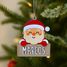 Customizable Christmas Santa Claus decoration VI-AD01 Vintiun 4