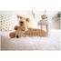 Customizable decorative sign - Stars VI-PL47 Vintiun 3