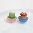 Bath Pop-Up Mushroom TT6-1546 Tiger Tribe 5
