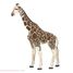 Giraffe figure PA50096-2914 Papo 2