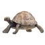 Turtle figurine PA50013-2906 Papo 1