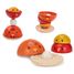 Stacking hen PT5695 Plan Toys, The green company 5