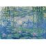 Puzzle Waterlilies Claude Monet 1000 pieces RAV12000194 Ravensburger 2