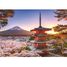 Puzzle Mount Fuji Cherry Blossoms View 1000 pieces RAV12000582 Ravensburger 2