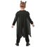 Batman deluxe child costume 3-4 years R300002OH-T34 Rubies 4