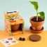 I grow my Banana tree RC-014265 Radis et Capucine 3