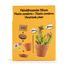 I grow my Flytrap RC-027001 Radis et Capucine 4